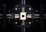 EMBL Spin-Off Luxendo to Develop and Commercialize Light-Sheet Microscopy