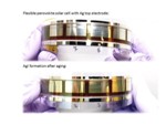 Study Reveals Cause for Short Lifetime of Perovskite Solar Cells with Silver Electrodes