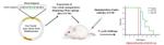 Archaeal Gas Vesicle Nanoparticles Hold Potential to Develop Powerful Malaria Vaccine