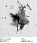 Car’s Catalytic Converter Produces Carbon Nanotubes