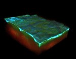 Multi-Photon Microscopy Helps Build Images of Chronic Wounds