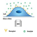 New Method to Examine Small Molecule-Membrane Protein Interactions
