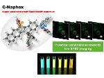 High Photostability Fluorescent Dye Enables Continuous Live Cell Imaging by STED Microscopy