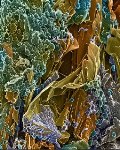EMSL’s Q-Wing Microscopes Help Visualize Components of Complex Samples with Unprecedented Detail