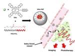 New Strategy Provides Cancer Imaging with a Single-Agent Theranostic Nanoplatform