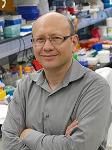 Superparamagnetic Dextran Iron Oxide Nanoworms Could Escape the Immune System
