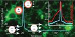 Quantum Dots Show Promise for Deep Brain Imaging