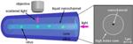 Researchers Develop New Method for Tracking the Motion of Nanoscale Viruses