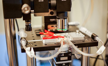 MIT Atomic Force Microscope Scans Images 2,000 Times Faster