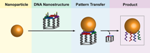A Method of Producing DNA-Encoded Nanoparticles has been Developed