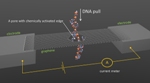 New Method for Fast and Precise DNA Sequencing is Simulated