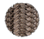 Rice Researchers Explore How Graphene Oxide “Paper” Would Handle Shear Strain