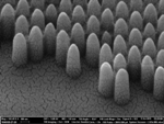 Bio-Inspired Nanostructures Enable Self-Cleaning, Anti-Glare Smart Windows