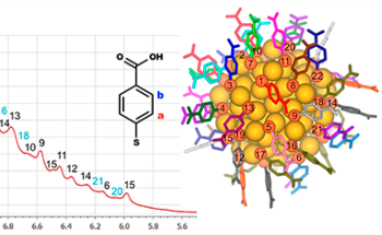 Researchers Determine Structure of Water-Soluble Gold Nanoparticles in Solution