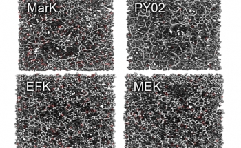 New Analysis Reveals Nanoscale Structure of Pore Spaces in Kerogen