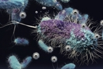 Researchers Find Impacts of Nanoparticles in Lithium Battery Components on Soil Bacterium