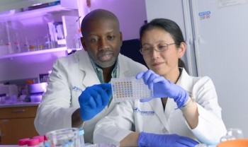 New Nanoparticle Therapy Holds Potential for Safe Treatment of Liver Cancer