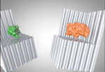 Researchers Analyze Various Applications of Designer DNA Nanocages