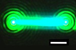 Development of Nanowire Lasers Could Open New Research Frontier for Optoelectronics