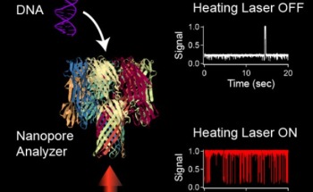 Scientists Use Infrared Laser Heat in Nanopore Sensing to Study DNA