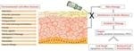 New Nanotechnology-Based Delivery System Could Control Variety of Skin Pathologies and Disorders