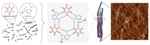 McGill University Researchers Use Cyanuric Acid to Create New Form of DNA Nanomaterials
