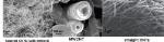 Carbon Dioxide Converted into Green Energy for Batteries