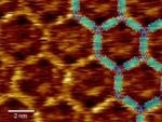 Modified Dye Molecules Serve as Building Blocks of Self-Assembling Molecular Networks on Graphene