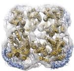 Breakthrough Nanoparticle Technology to Study Structure of Membrane Proteins in Lipid Environment