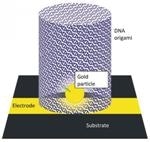DNA Origami Holds Potential to Make Nanoscale Structures for Use in Electronics