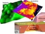 New Approach to Imaging Reactive and Biological Samples at Nanoscale Levels Under Realistic Conditions
