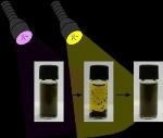 Extracting Graphene and Contaminants from Water by Shining Light