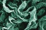 Wrinkled and Crumpled Graphene Exhibits Better Properties