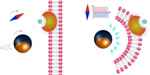 ETH Researchers Successfully Create Magnetoelectric-Controlled Microrobots