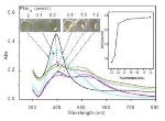 Nanoparticle-Based Colorimetric Assay for Sensitive Detection of c-myc mRNA Oncogene