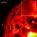 Breakthrough Open Source Software to Process Raw Image Data for High-Resolution Microscopy