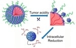 Scientists Develop Triple-Stage 'Cluster Bomb' to Deliver Chemo Drug through Nanoparticles