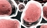 Scientists Develop Nanoparticles to Safely Treat Inflammatory Bowel Disease