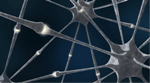MIPT Scientists Create Electronic Synapses Based on Ultrathin Hafnium Oxide Films
