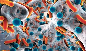 New Anti-Biofilm Nano Coating Prevents Bacterial Growth on Metal Surfaces