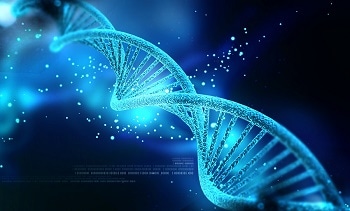Researchers Develop the World’s Smallest Programmable DNA Nanothermometer