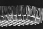 New Sensor Technology to Capture Nanoscale Images with High Sensitivity and Spatial Resolution