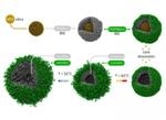 Russian Scientists Create Gel Nano-Capsules that Show Potential for Targeted Drug Delivery