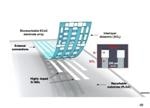 Dissolvable Silicon Electronic Device Shows Promise for Monitoring Brain Function