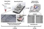 New Method for Rapid Neutrophil Chemotaxis Test Using Microfluidic System