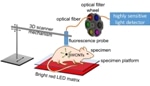 Nanotube Beacon Helps Detect Tumor Location