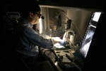 MIT Researchers Develop SWNT-Based Fluorescent Probes for Detection and Removal of Ovarian Cancer