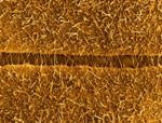 Innovative Method to Build Advanced Carbon Monoxide Nanosensors