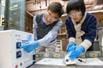 Researchers Develop New Nanomaterial that Holds Potential for Energy-Efficient Windows
