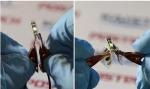 Researchers Develop Highly Flexible OLEDs Using Graphene-Based Electrode